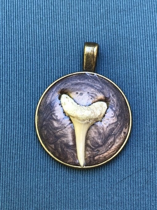 Fossilized Sharks Tooth in Copper Dust Resin